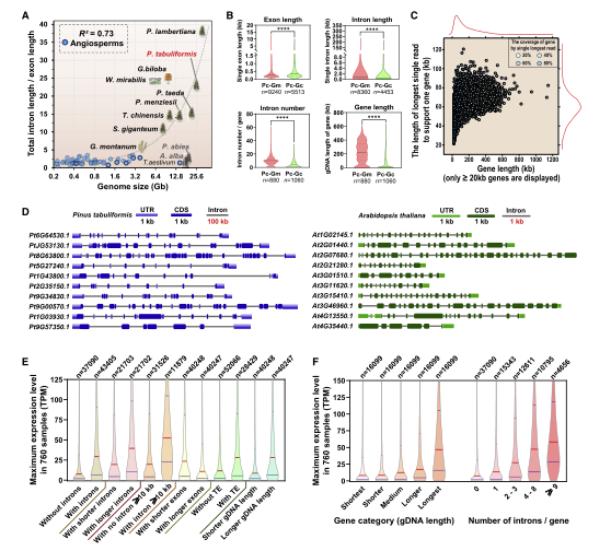 1658916778204531.png 3.png