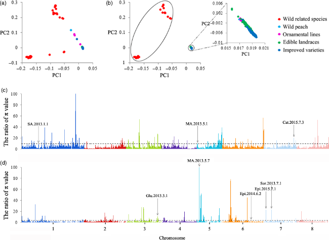 1658918241624244.png 2.png