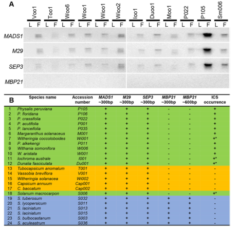 1658920717507879.png 8.png